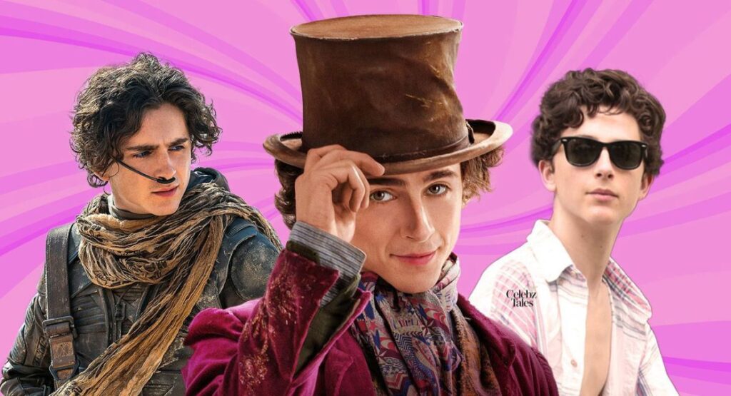 timothee-chalamet-movies-and-performances